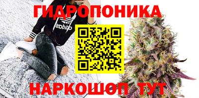 сатива Изобильный